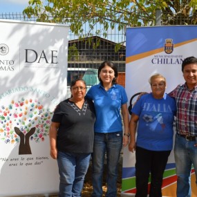 mechoneo solidario chillán 2015