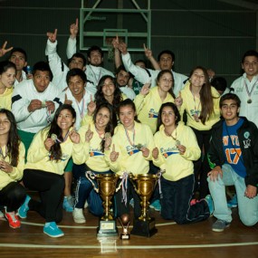 Olimpiadas 2013